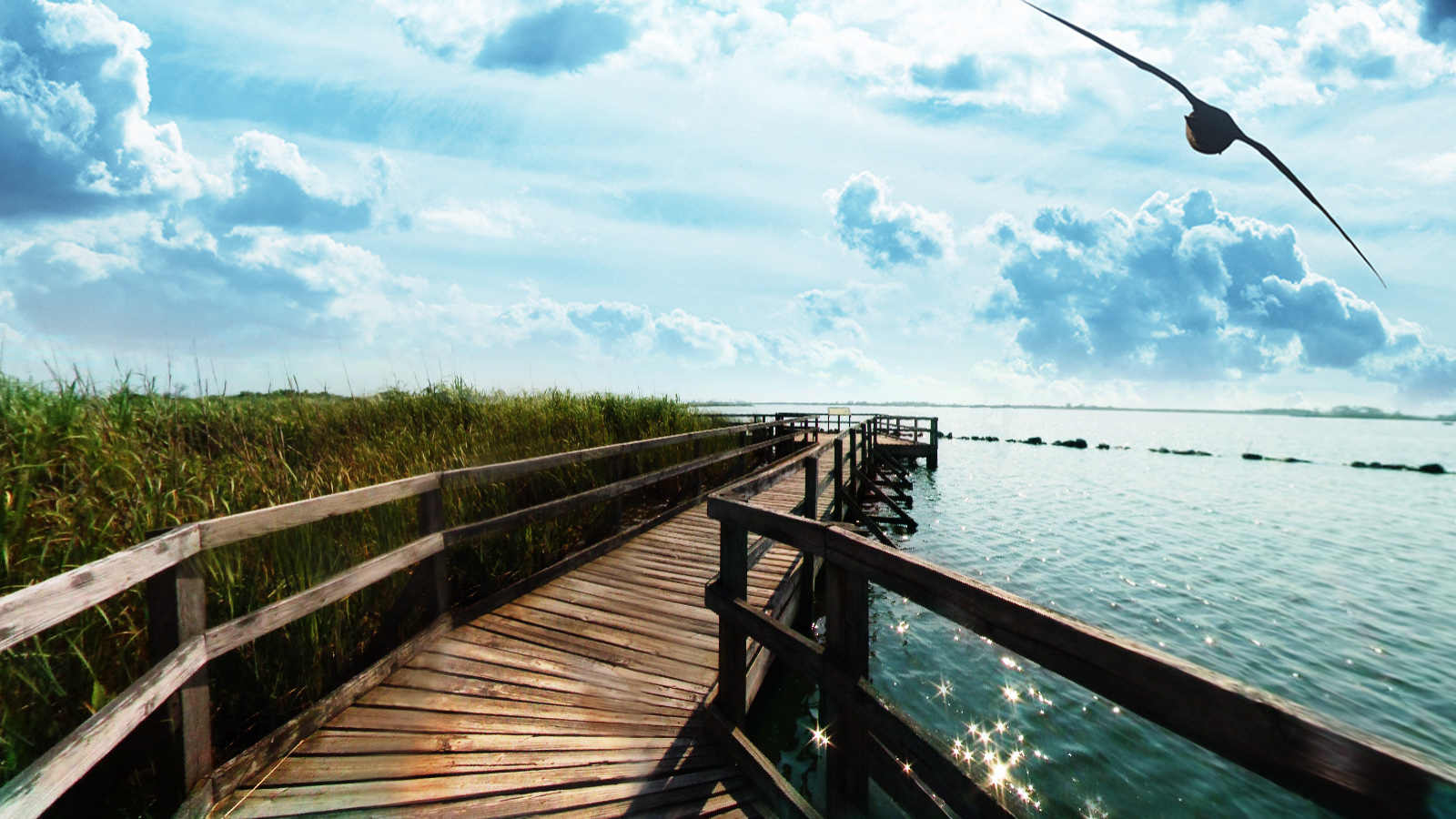 Scenic boardwalk at Back Bay, Virginia Beach